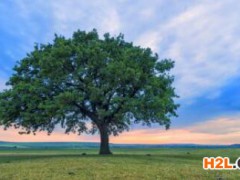 代辦雙軟認(rèn)證的注意事項(xiàng)是什么？