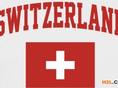 在申請可以申請瑞士商標的類別：