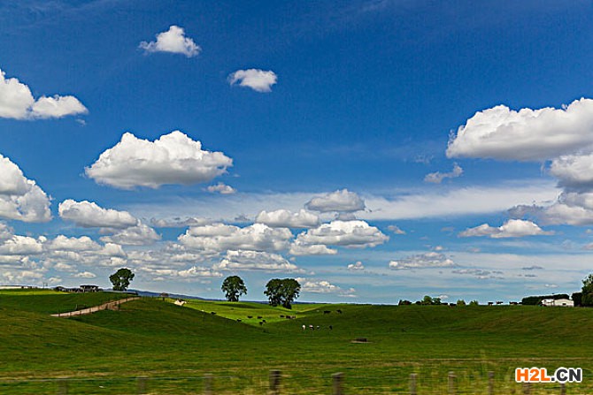 新西蘭商標(biāo)注冊(cè)