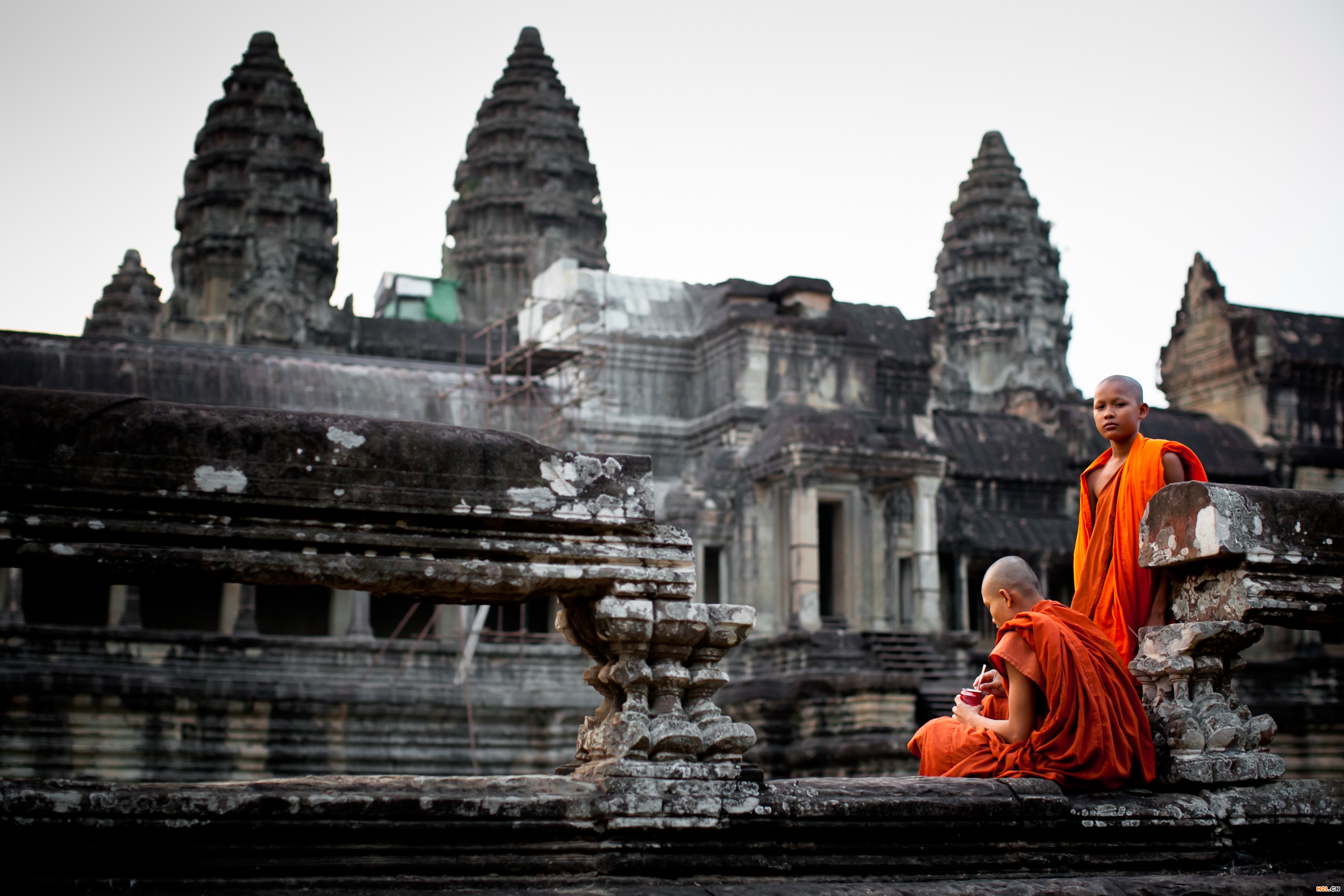 柬埔寨商標(biāo)申請流程有哪些？