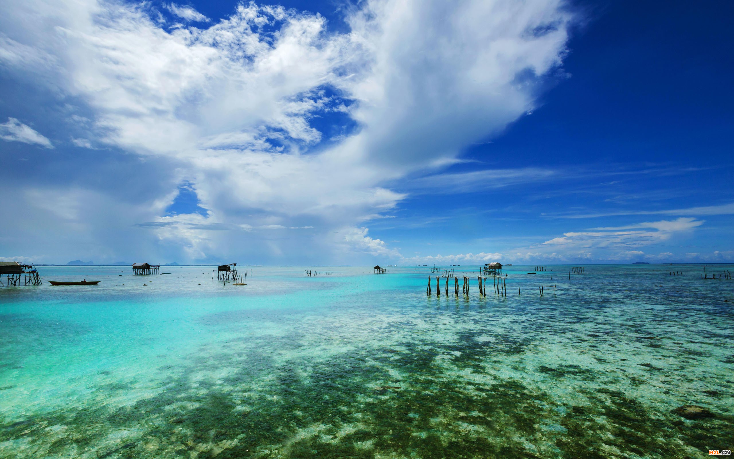 馬來西亞商標(biāo)注冊