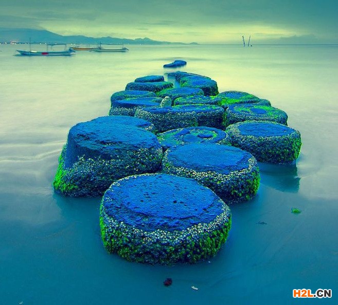 印度商標(biāo)注冊