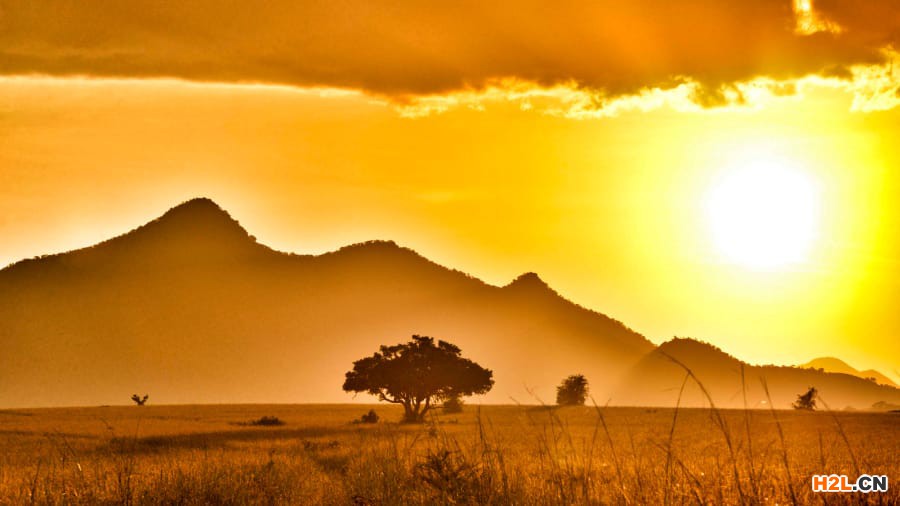 非洲地區(qū)工業(yè)產(chǎn)權組織