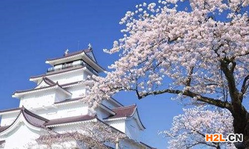 日本商標(biāo)注冊(cè)