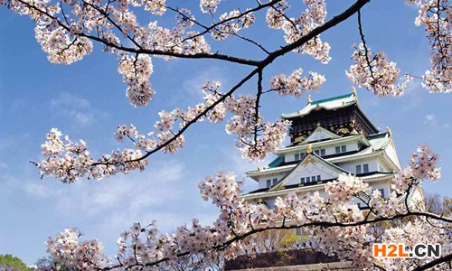 日本商標(biāo)注冊(cè)流程