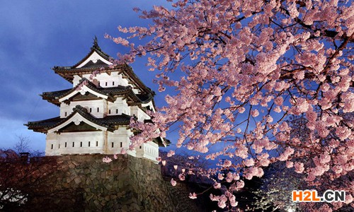 日本商標注冊程序有哪些