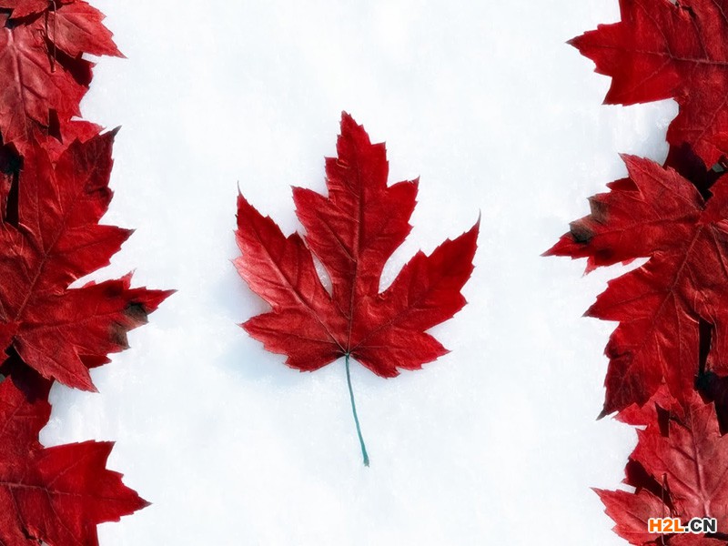 加拿大商標(biāo)注冊