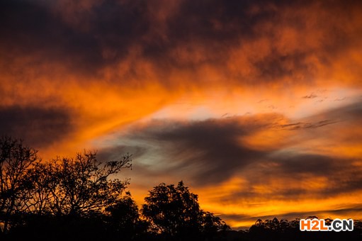 澳大利亞商標(biāo)