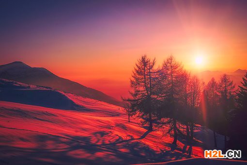 意大利商標(biāo)