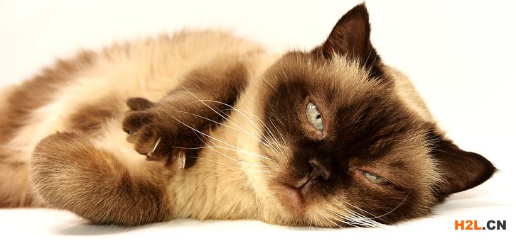 英國(guó)商標(biāo)