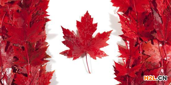 申請加拿大商標注冊需要注意什么？