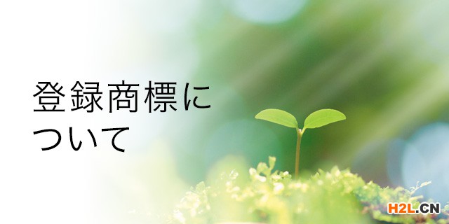 注冊日本商標非常的重要！