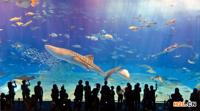 注冊日本商標需要哪些材料？