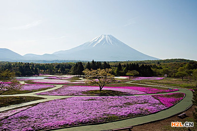 日本商標(biāo)注冊