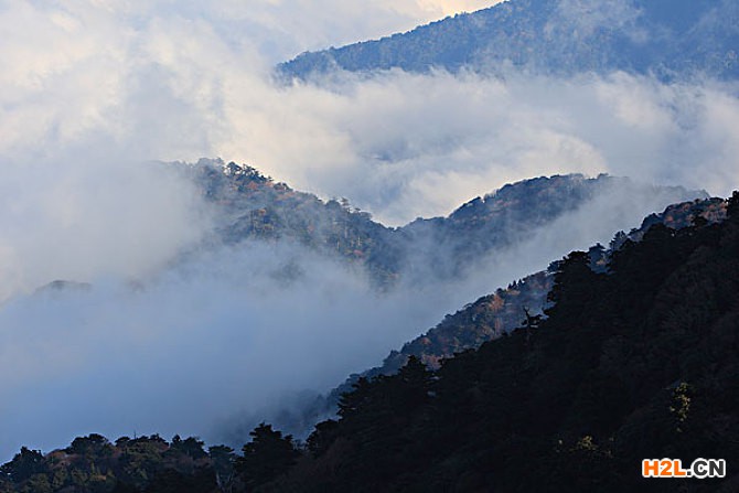 日本商標(biāo)注冊