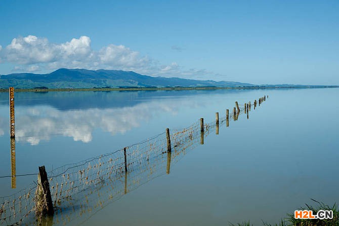 新西蘭商標(biāo)