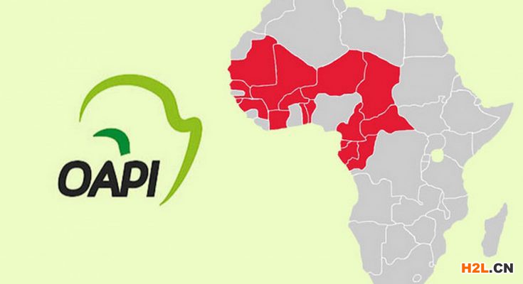 非洲知識產(chǎn)權(quán)組織