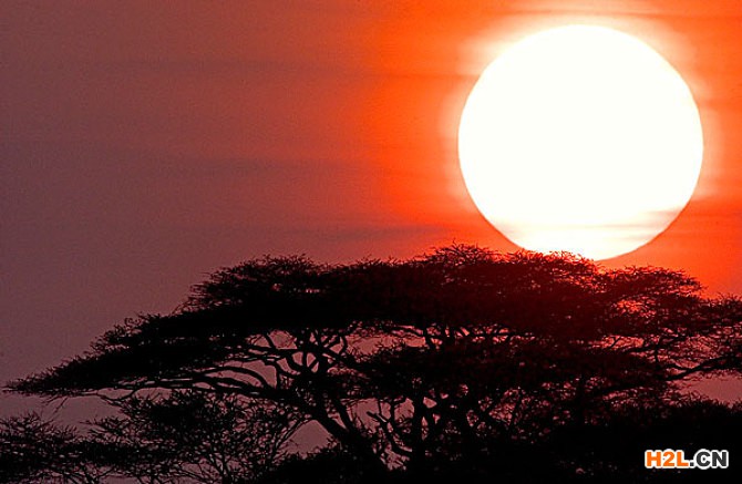 非洲發(fā)明專利