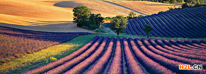 法國外觀設計專利