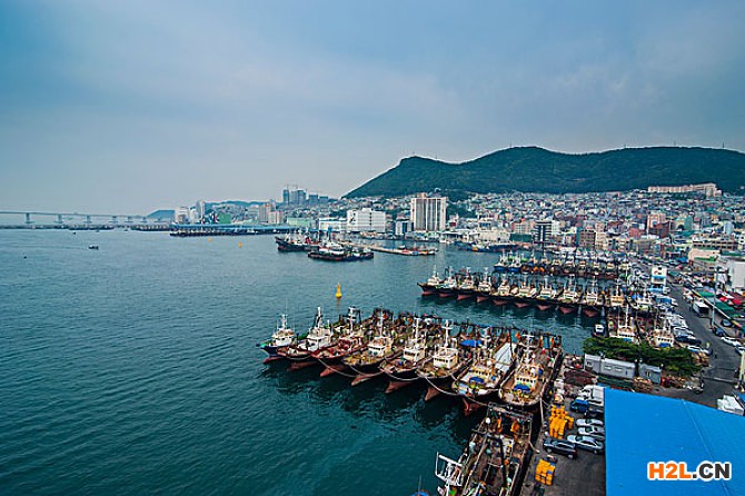 韓國外觀專利申請流程及費用？