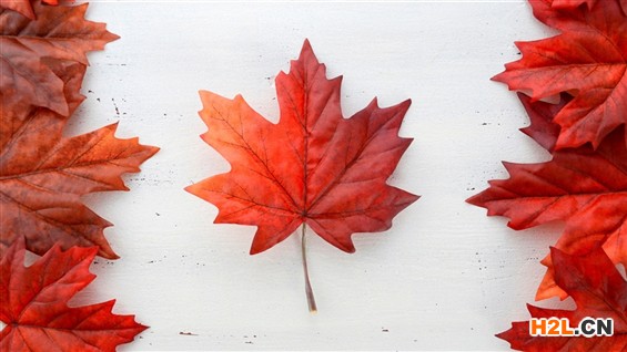 加拿大外觀設(shè)計專利申請有哪些流程？