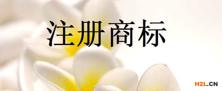 商標(biāo)注冊(cè)公司