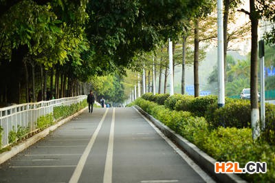 書(shū)店商標(biāo)怎么注冊(cè)（書(shū)店商標(biāo)注冊(cè)類別）