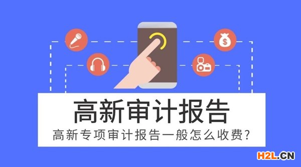 高新專項審計的價格表