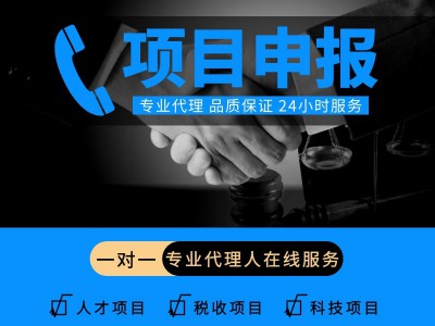 國(guó)家補(bǔ)貼項(xiàng)目申報(bào)代理公司-獲取政策優(yōu)惠
