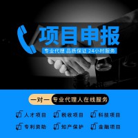 國家補(bǔ)貼項(xiàng)目申報(bào)代理公司-獲取政策優(yōu)惠
