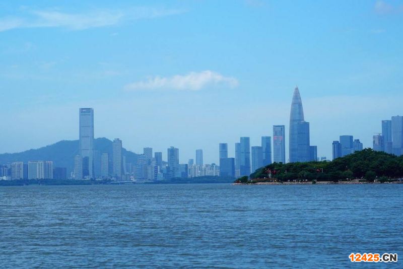 2022年深圳專(zhuān)精特新小巨人企業(yè)優(yōu)惠政策