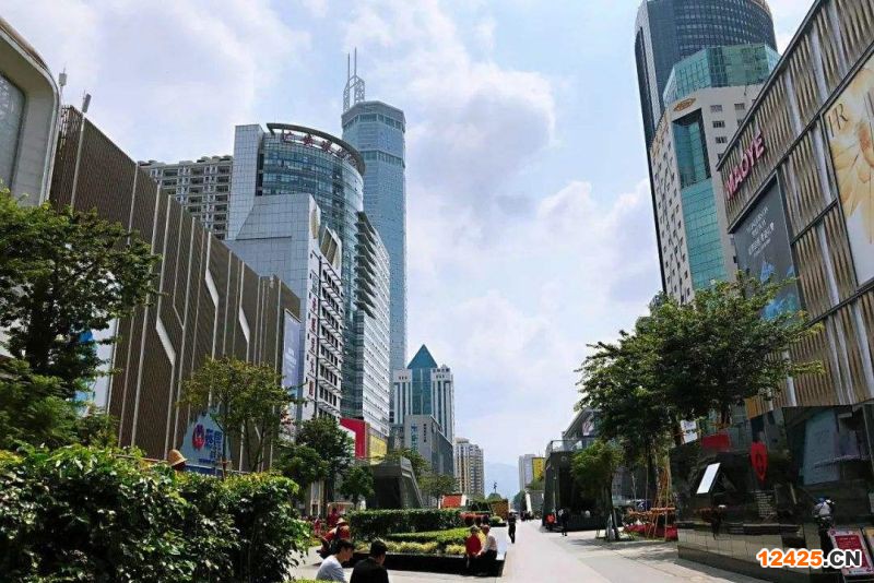 2022年深圳國(guó)家專(zhuān)精特新申報(bào)表