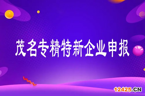 茂名專精特新企業(yè)申報
