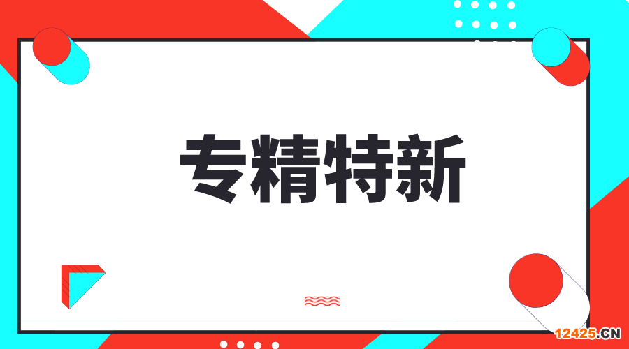 專精特新，專精特新小巨人