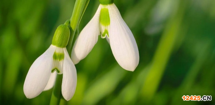 iso認(rèn)證公司是做什么的