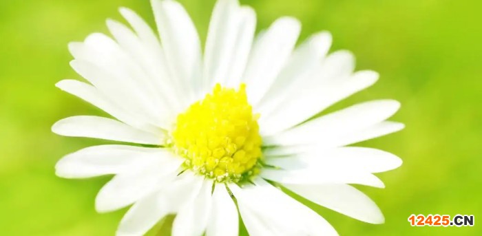 企業(yè)為什么要做iso認(rèn)證