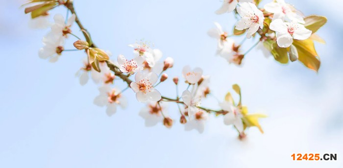 iso認(rèn)證什么方面