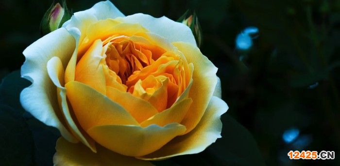 需要申請的是iso8317認證，iso8317認證是什么