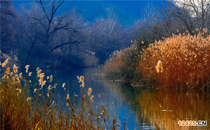 企業(yè)申請(qǐng)ISO45001體系需要準(zhǔn)備什么資料