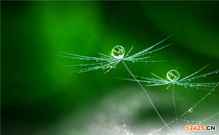 ISO質(zhì)量管理體系認(rèn)證證書在哪里查