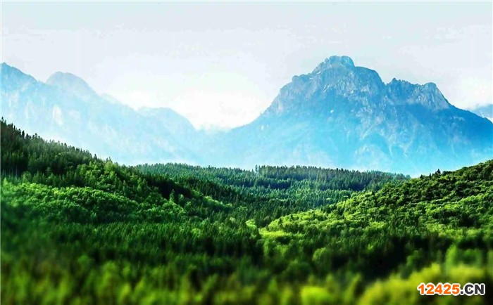 申請iso認(rèn)證是什么