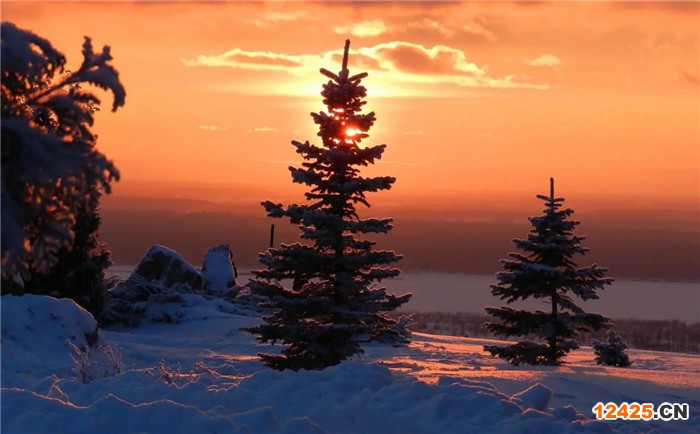 iso質量認證有什么要求