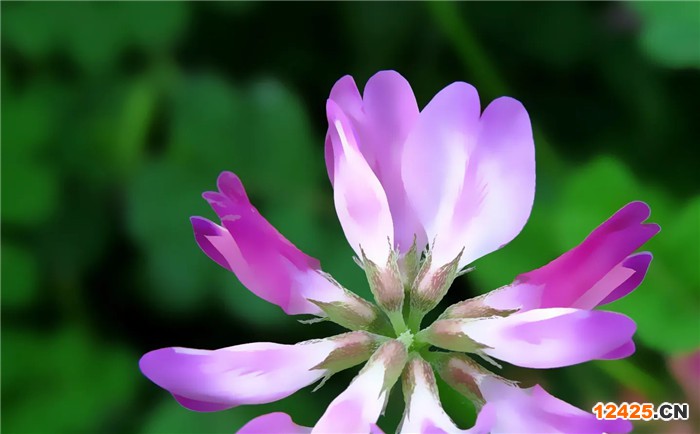 iso工廠認證需要什么