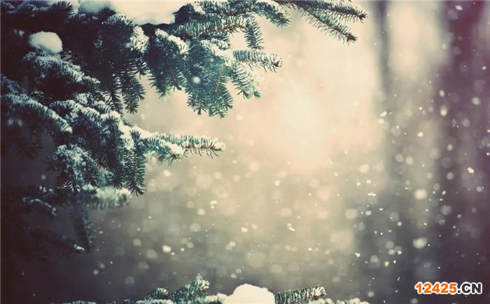 什么是五星售后服務(wù)認(rèn)證的認(rèn)證標(biāo)準(zhǔn)