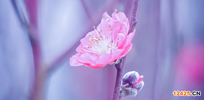 ISO2000是什么認(rèn)證