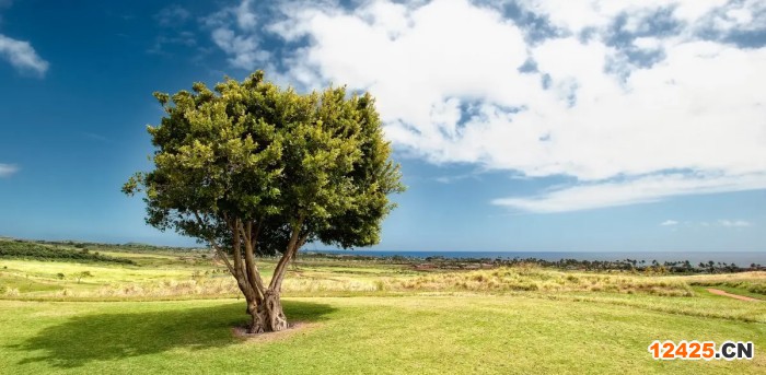 做iso認證需要什么材料