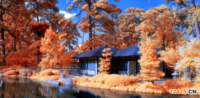 13485醫(yī)療器械條件