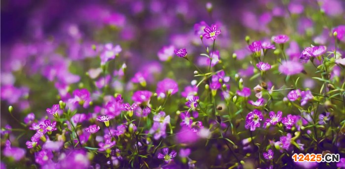 ISO三體認證對客戶來講它的意義是什么