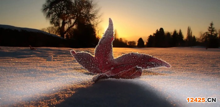 ISO45001認證的申請條件是什么