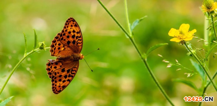 國(guó)內(nèi)iso認(rèn)證有什么用